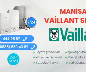Manisa Vaillant Servisi 444 95 87